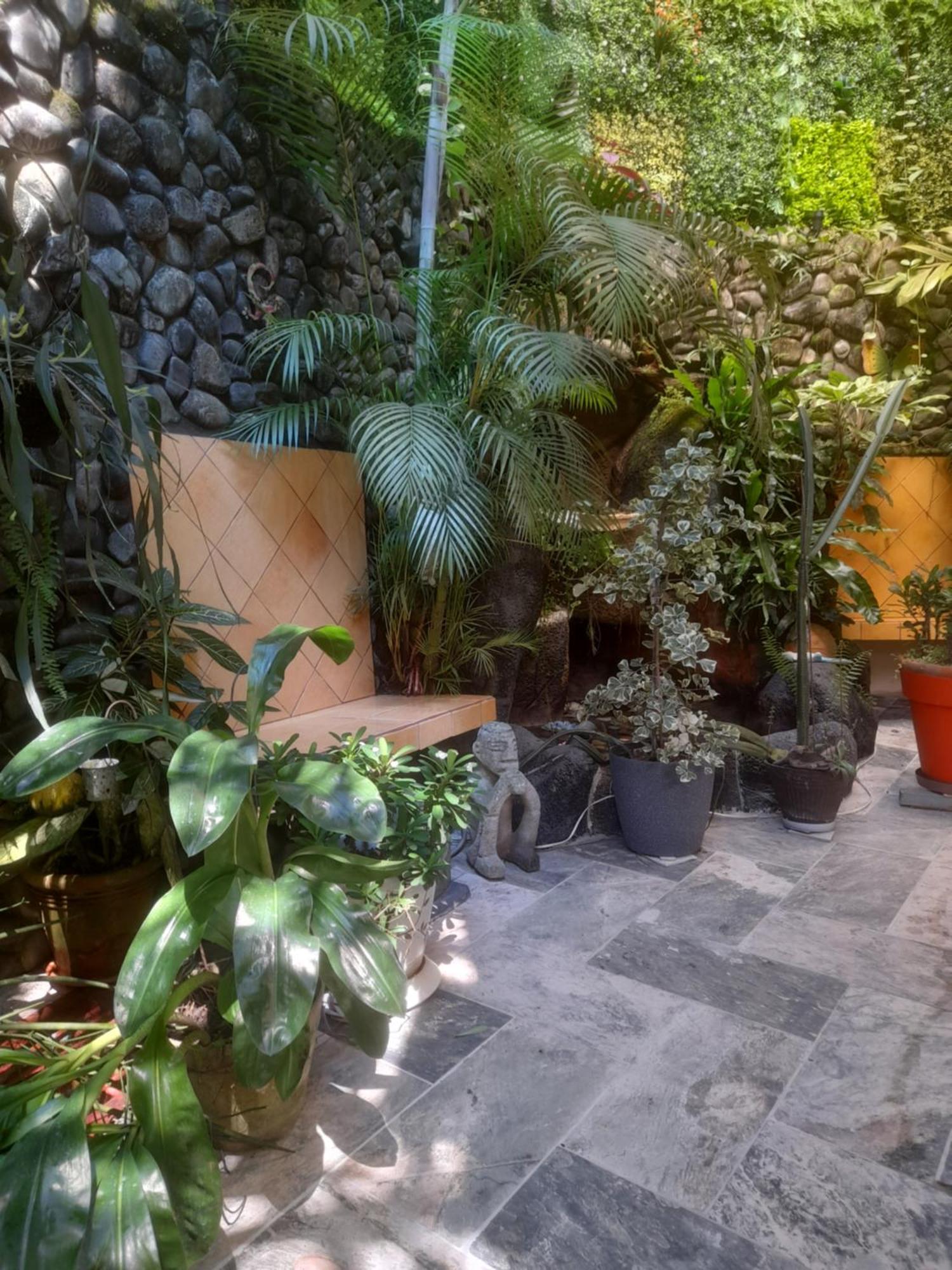 מנואל אנטוניו Coyaba Tropical Elegant Adult Guesthouse מראה חיצוני תמונה