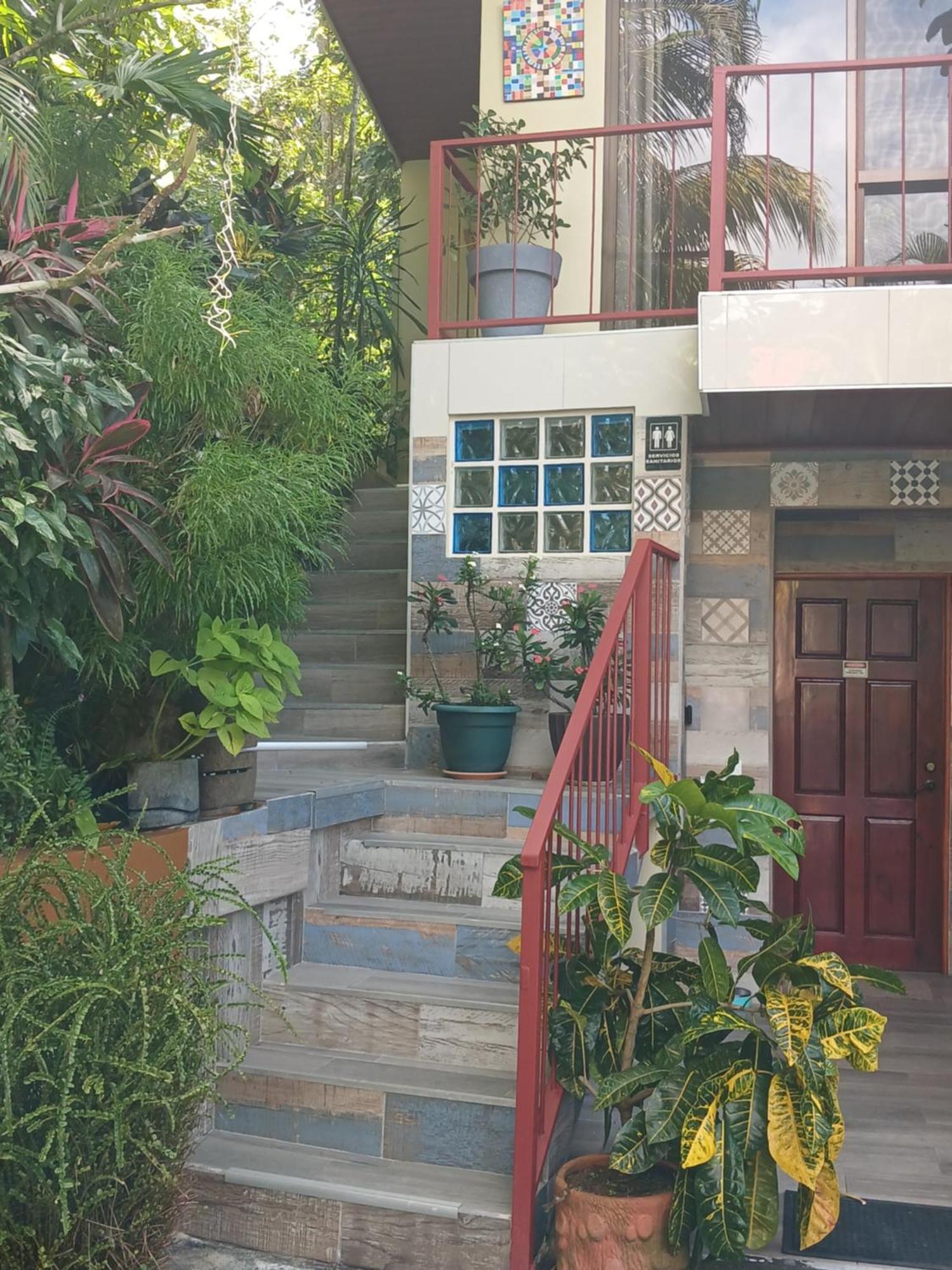 מנואל אנטוניו Coyaba Tropical Elegant Adult Guesthouse מראה חיצוני תמונה
