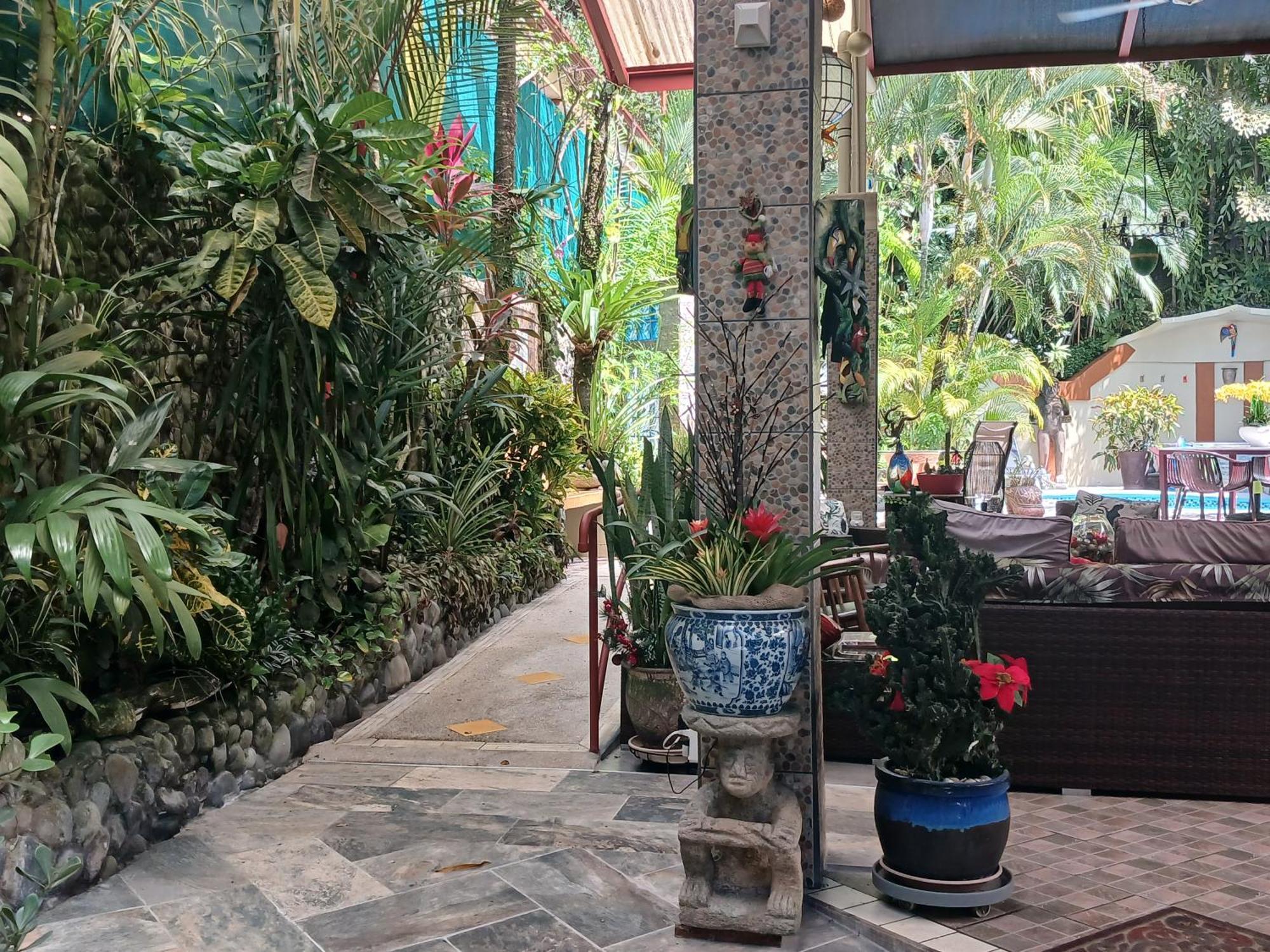 מנואל אנטוניו Coyaba Tropical Elegant Adult Guesthouse מראה חיצוני תמונה